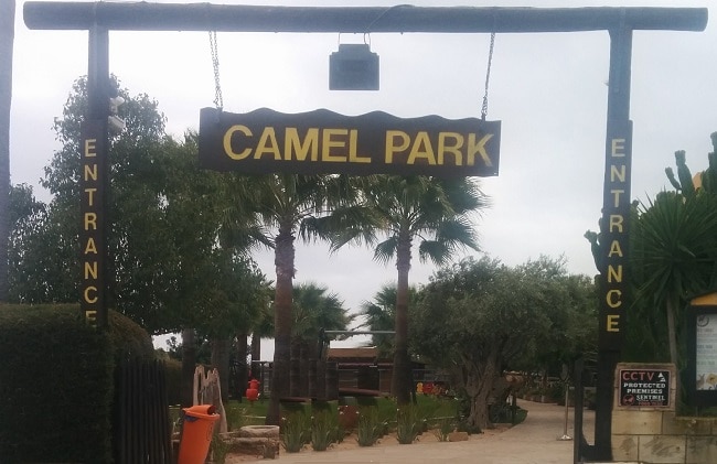הכניסה לפארק הגמלים