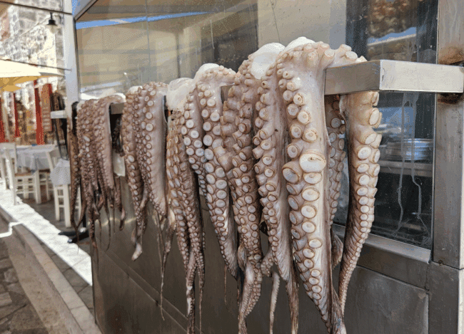 תמנון מונח לייבוש ליד טברנה קפריסאית