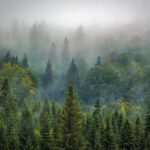 מרכז המבקרים טרודוס גיאופארק, הסביבה והטבע כולל מסלולי טיול