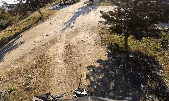 יער ריזאלייה Rizaelia - טבע ואופניים ליד לרנקה