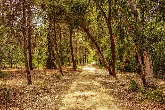 הפארק הלאומי יער אתאלאסה - Athalassa National Forest Park - קפריסין 2026