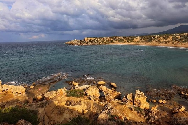 חוף הצבים אלגאדי - צילום: סמי גולד
